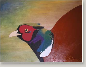 Pheasant Portrait